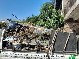 Best Shed Removal  in Tainter Lake, WI